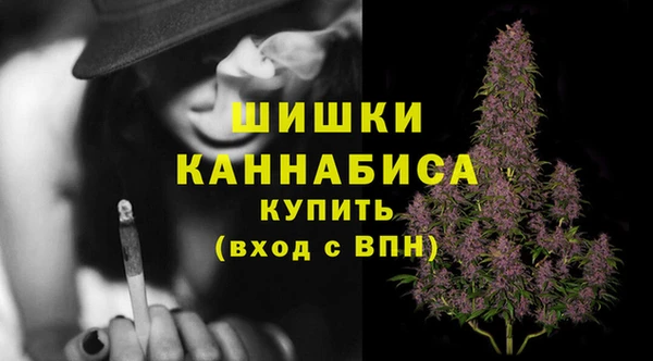 трава Елизово