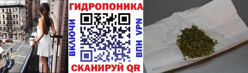 Бошки Шишки семена  закладка  Болотное 